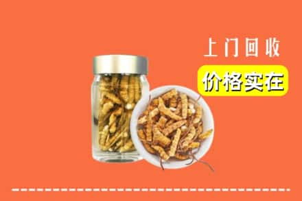 天津市回收散虫草