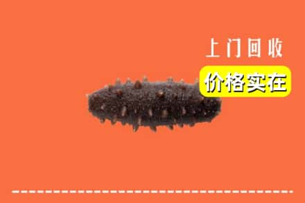 天津市回收海参