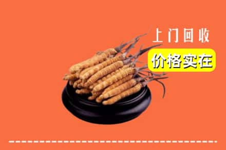 天津市回收冬虫夏草