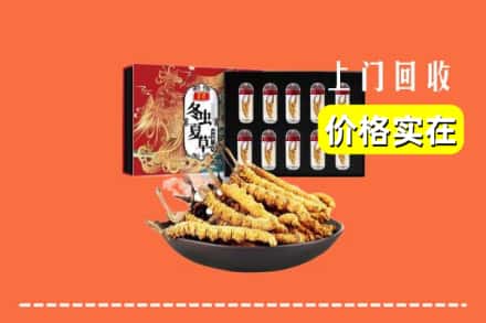 天津市回收虫草