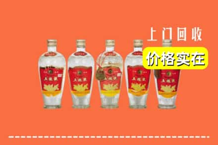 诚信求购:天津市高价回收老五粮液